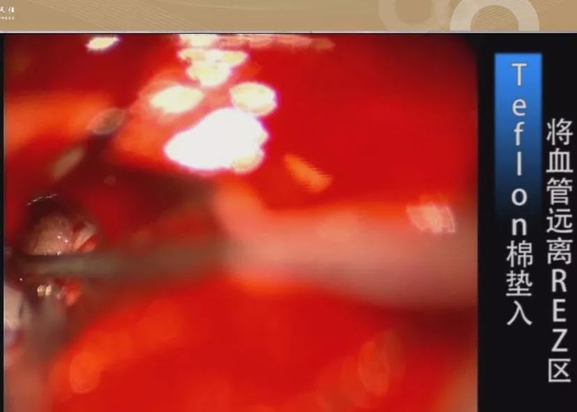 斗罗同人3d海报