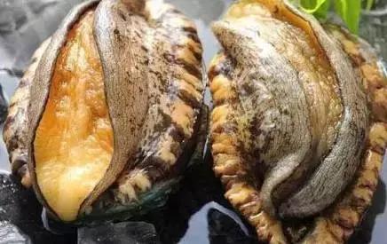 挑 战 第 三 季 不 许 动 采 精 挑 战 +小 桃海报