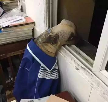 暗网小 那些漩涡般的暗网星辰海报