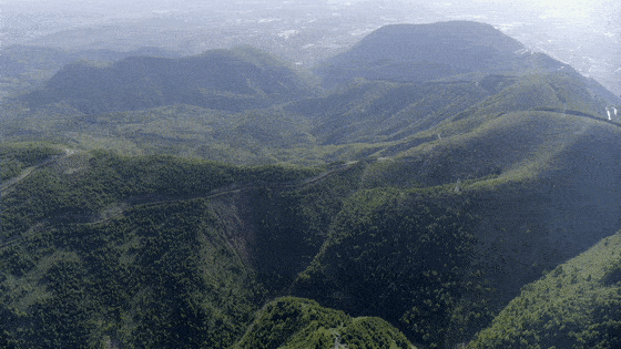 国产精品亚洲AV色欲在线观看