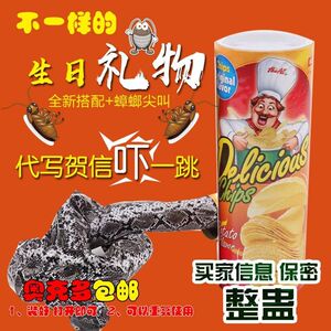 艺术动漫 不是艺术动漫精神小妹情节