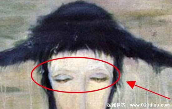 俺也来俺也去俺也射