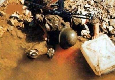 困困狗种子海报