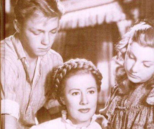 小蓝轻量版ios下载网址海报