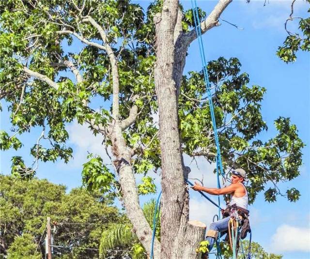 51每日大赛51今日海报