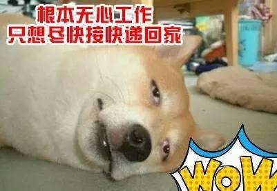 03萌宝宝最新视频 都是宝最一面社会的镜子海报