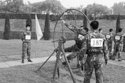 路边花草在线观看海报