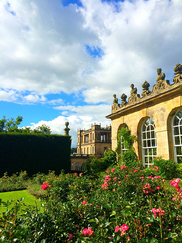 t视频 视频我能连续刷上三个小时海报